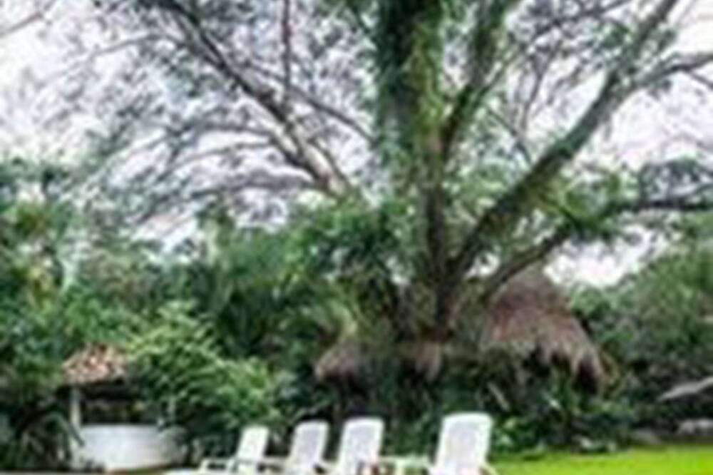 Photo of Outdoor in Jalcomulco