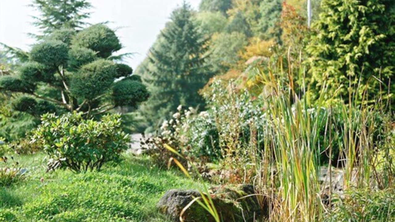 Photo of Outdoor in La Petite-Pierre