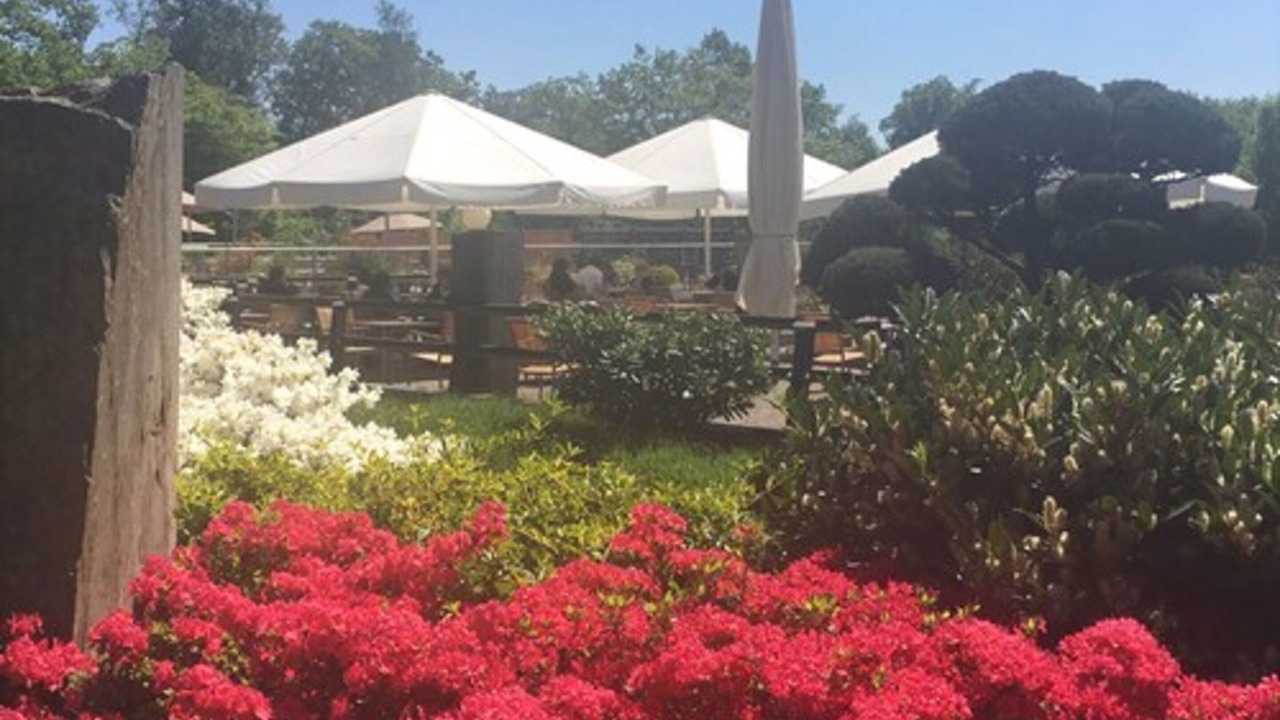 Photo of Outdoor in La Petite-Pierre