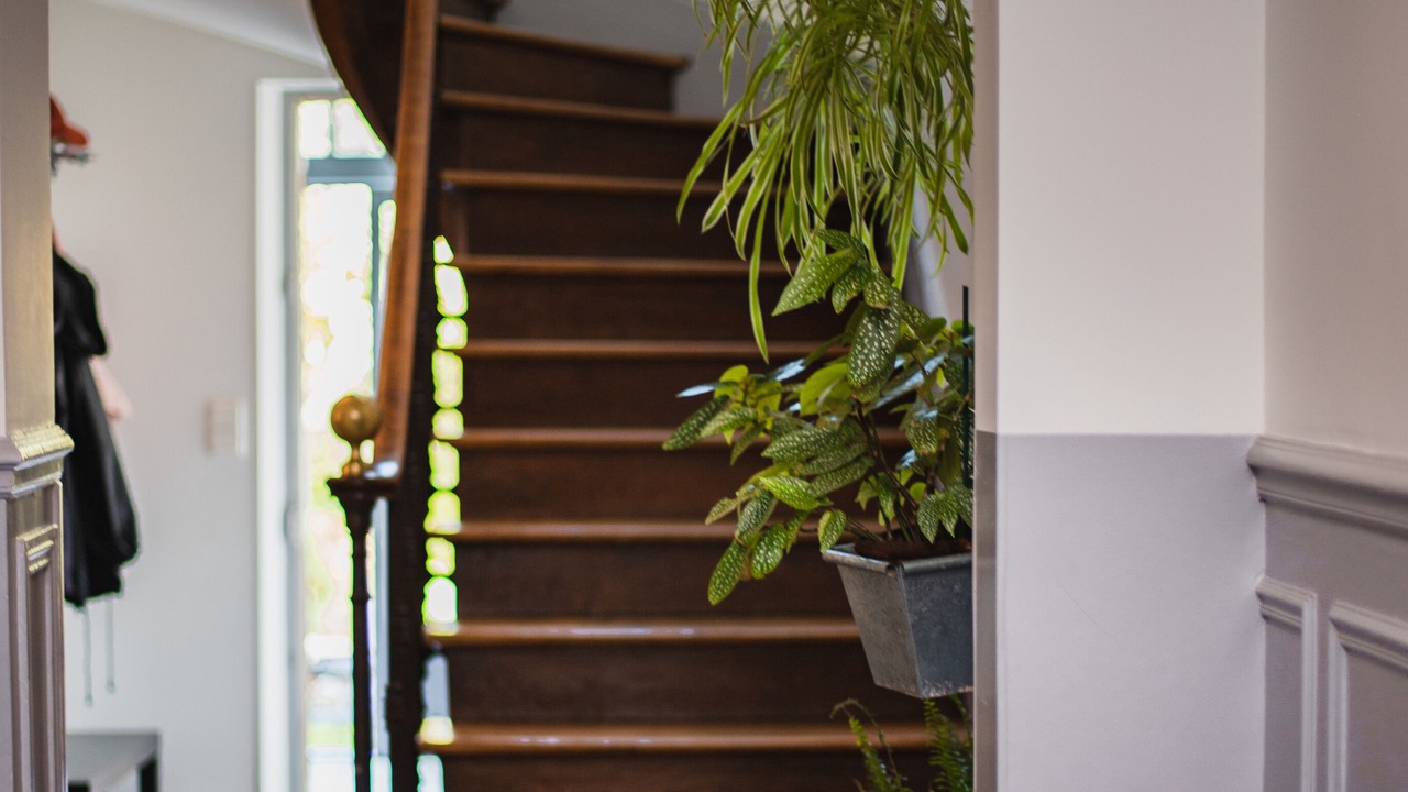 Photo of Others in Chateaudun-Bannier