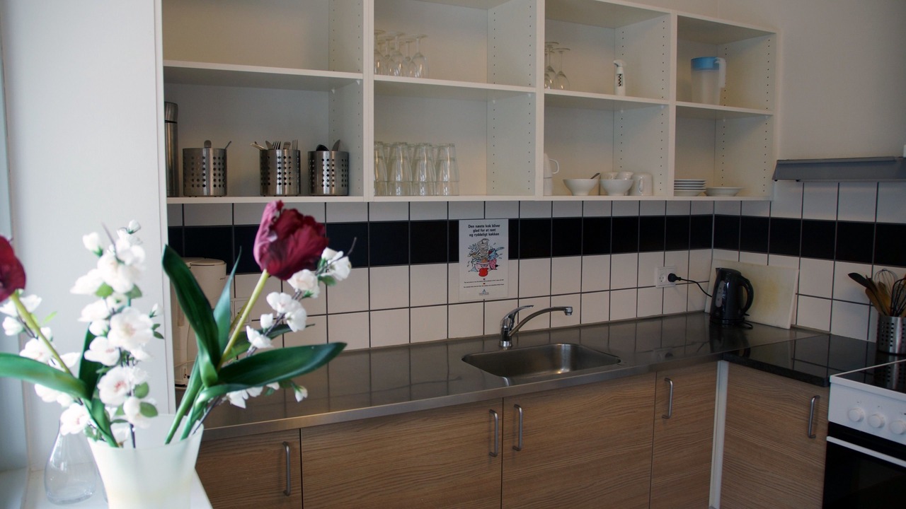 Photo of Kitchen in Skive