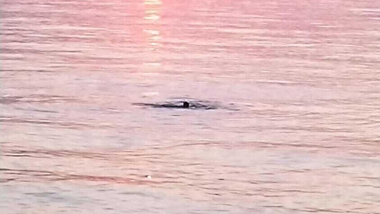 Photo of Outdoor in Westbrook