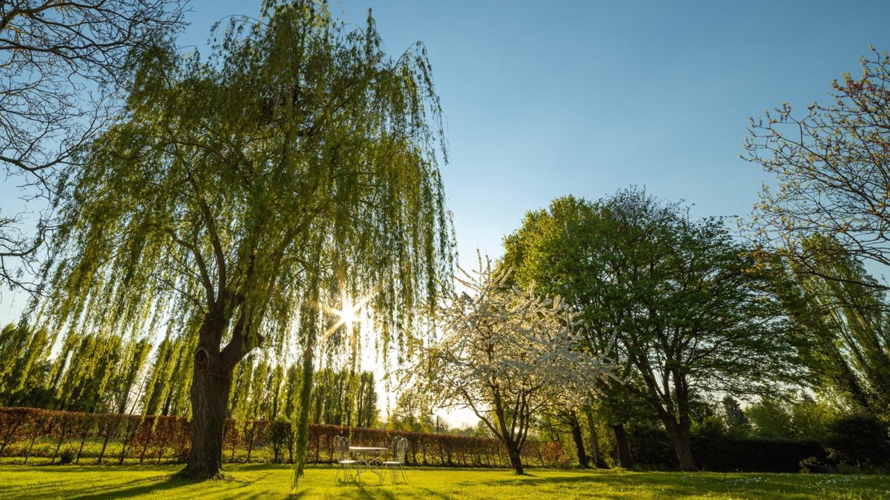 Photo of Outdoor in Teloche
