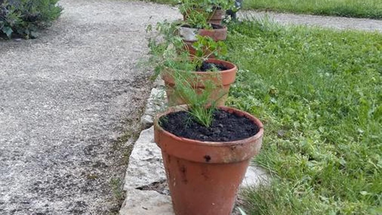 Photo of Outdoor in Coulombiers