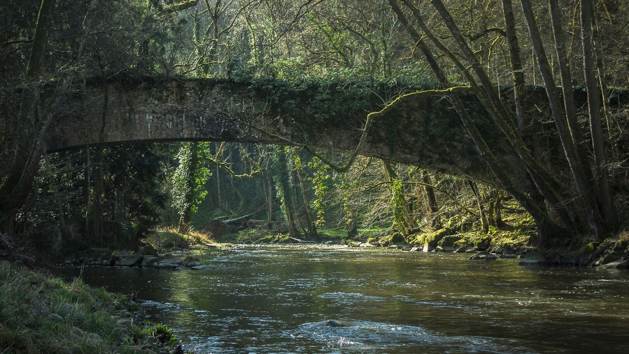 Photo of Outdoor in Avallon