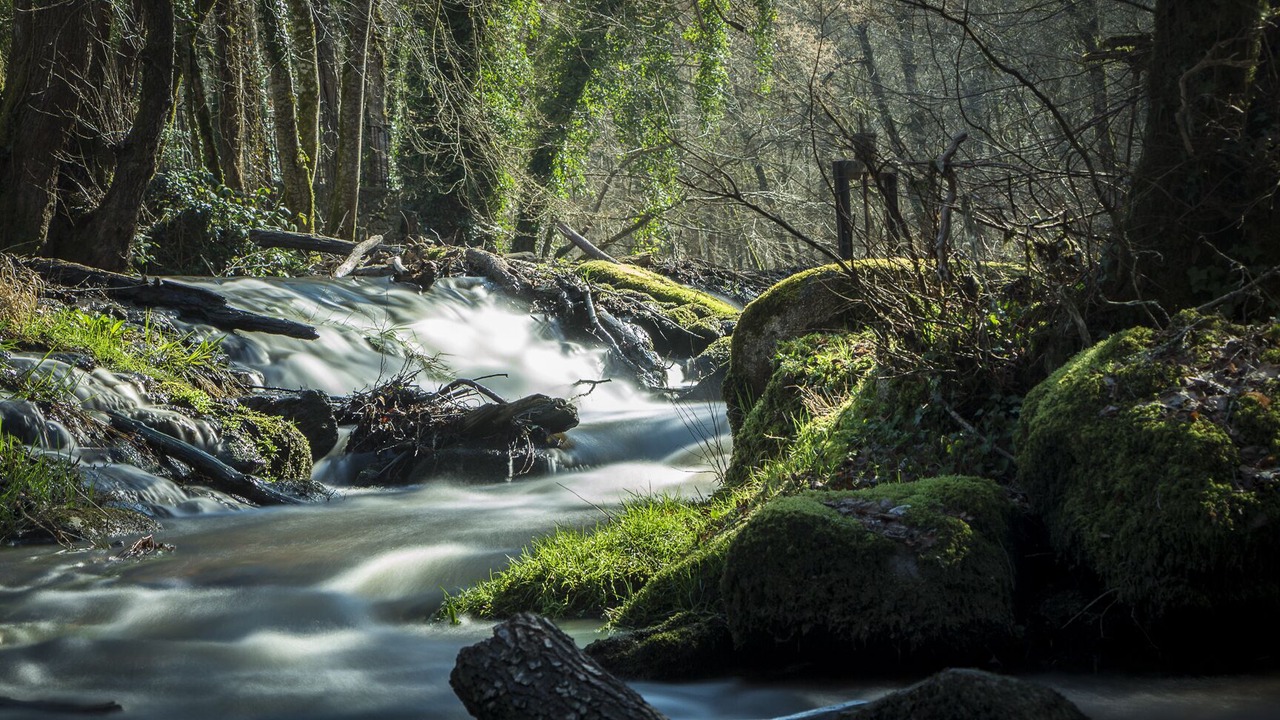 Photo of Outdoor in Avallon