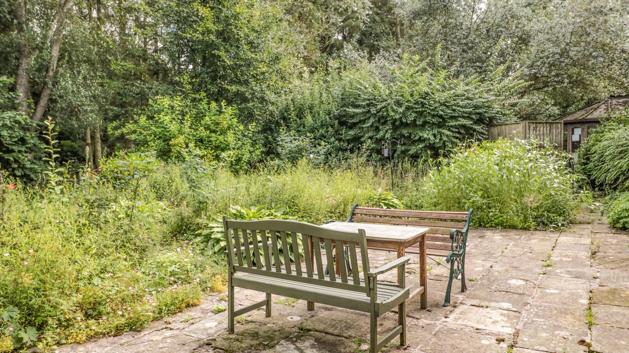 Photo of Others in Duns