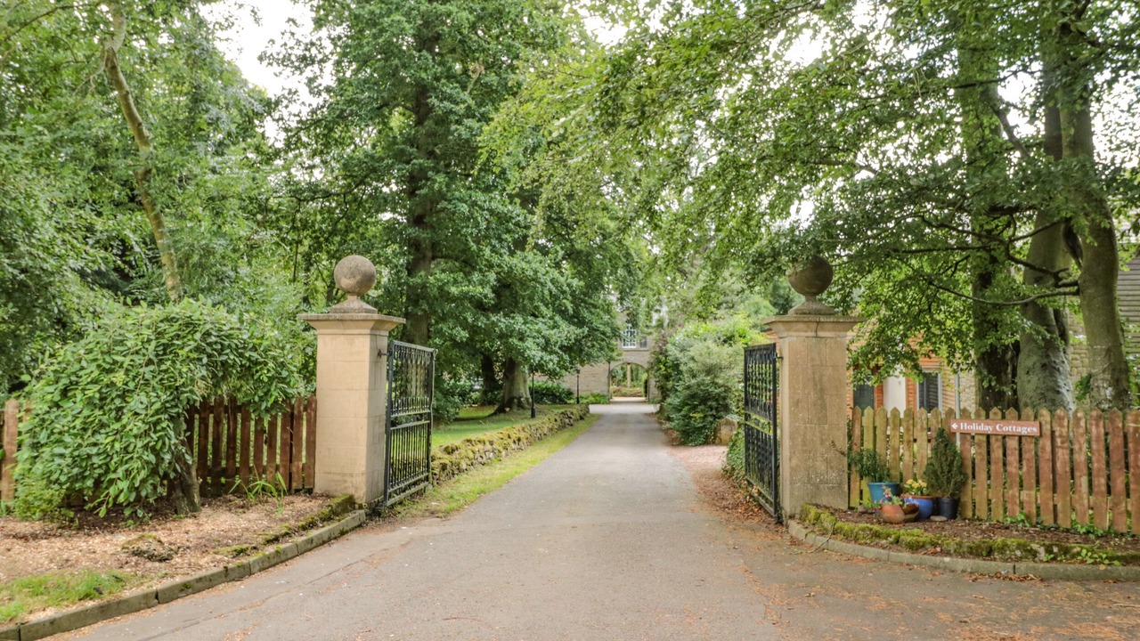 Photo of Others in Duns