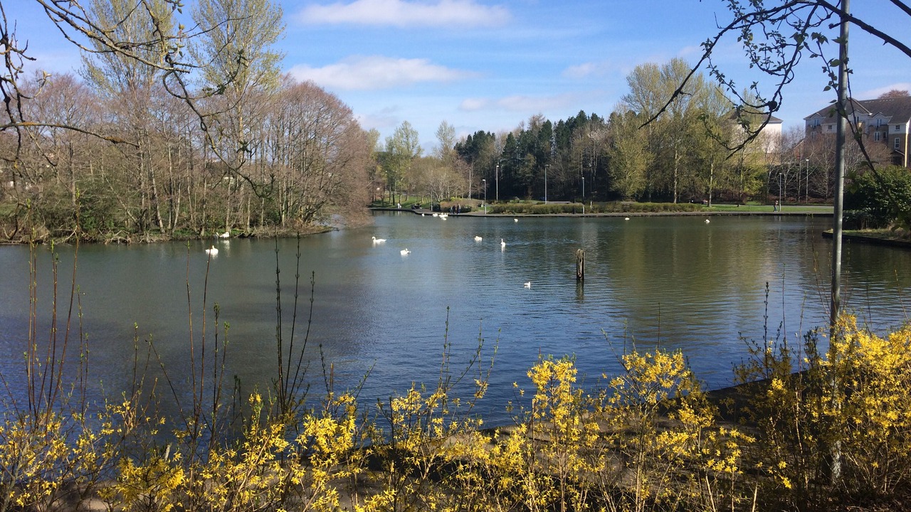 Photo of Others in Galashiels