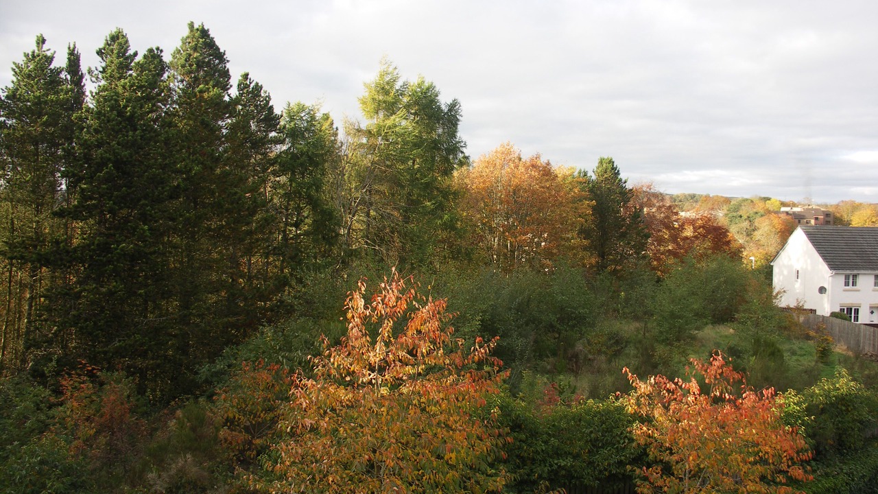 Photo of Others in Galashiels