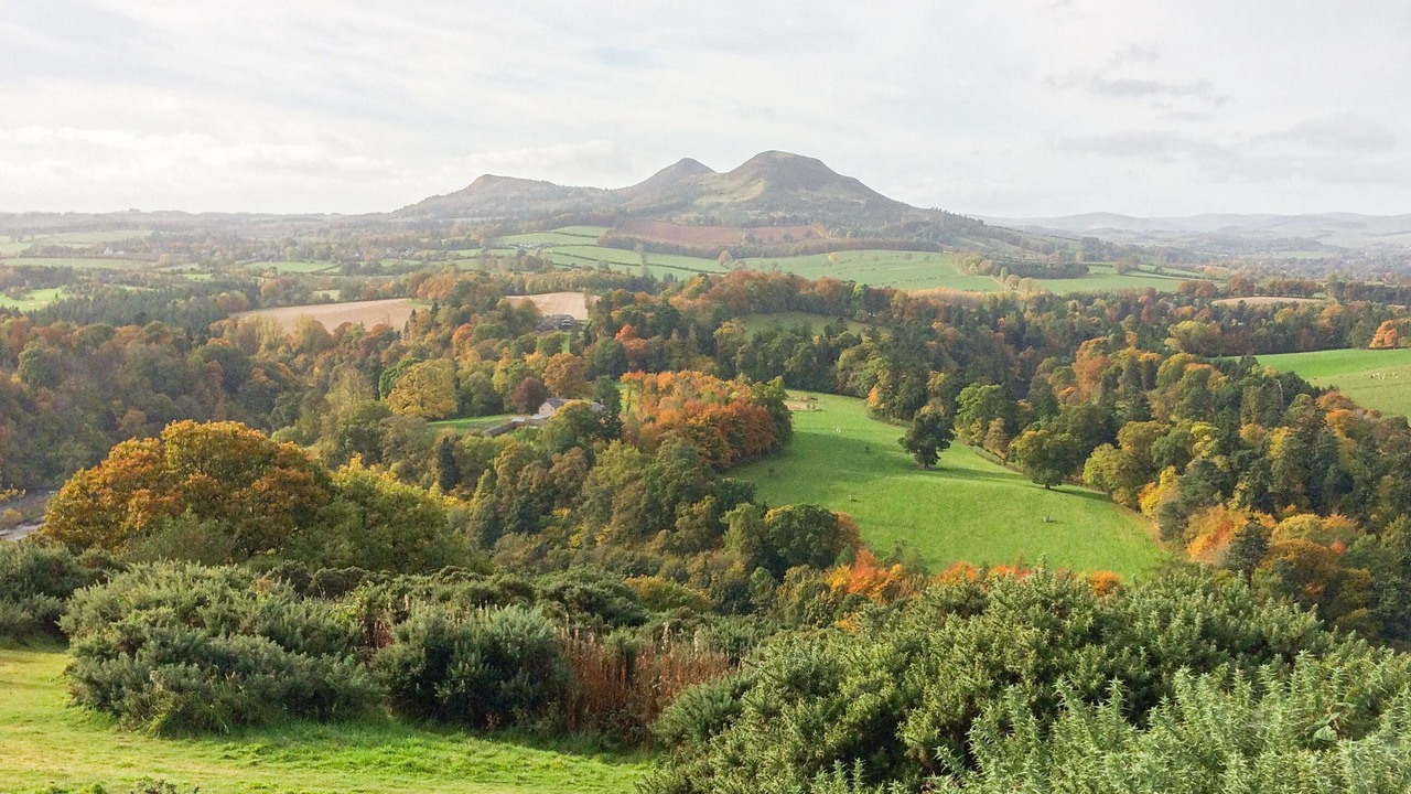 Photo of Others in Galashiels