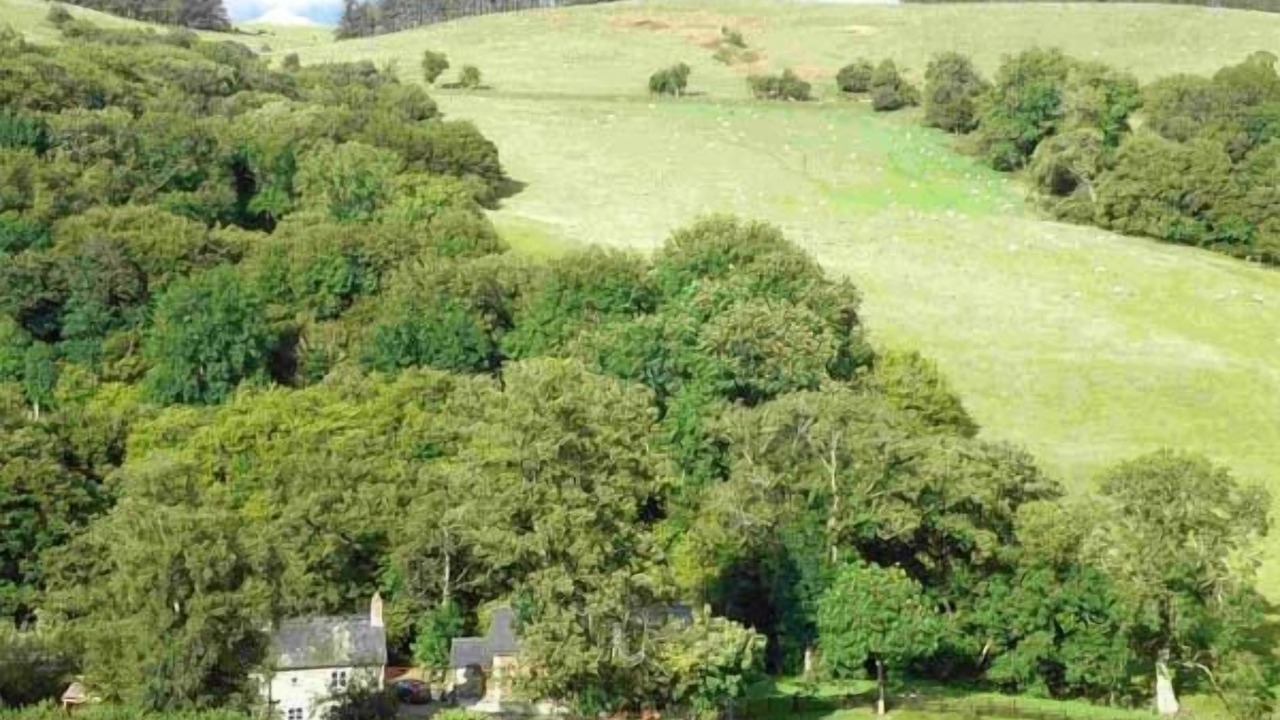 Photo of Others in Bleddfa