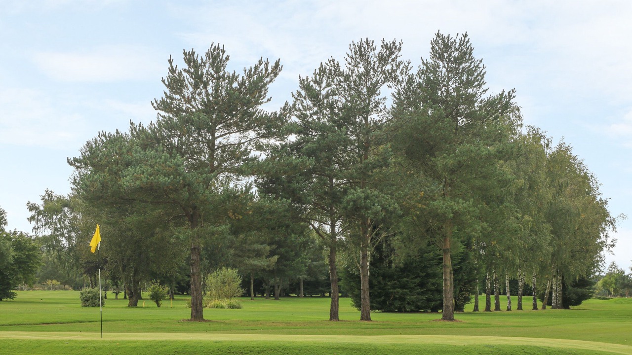 Photo of Others in Acomb