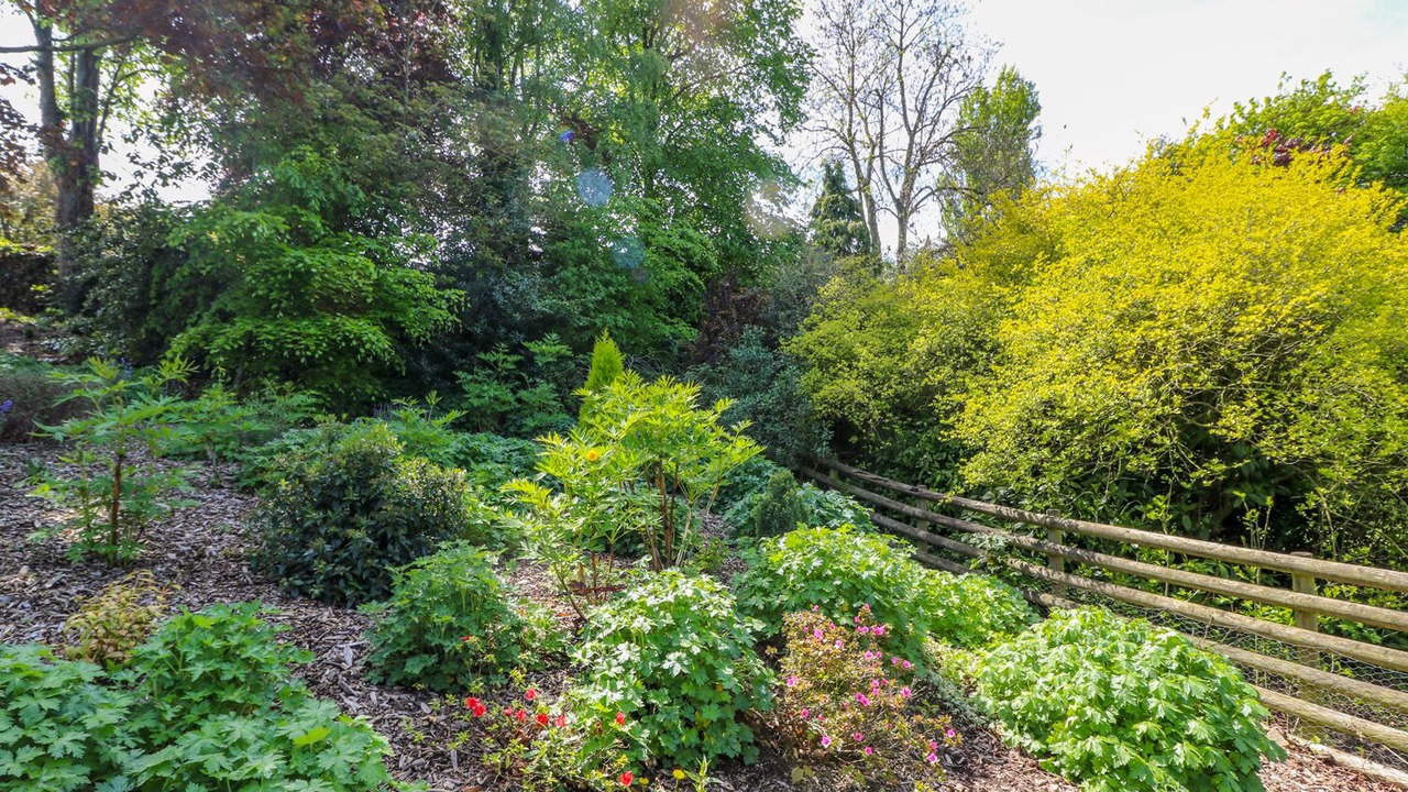 Photo of Others in Dronfield