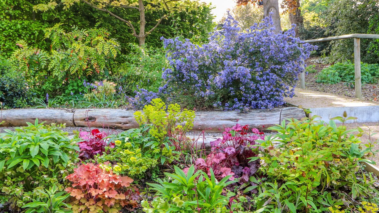 Photo of Others in Dronfield