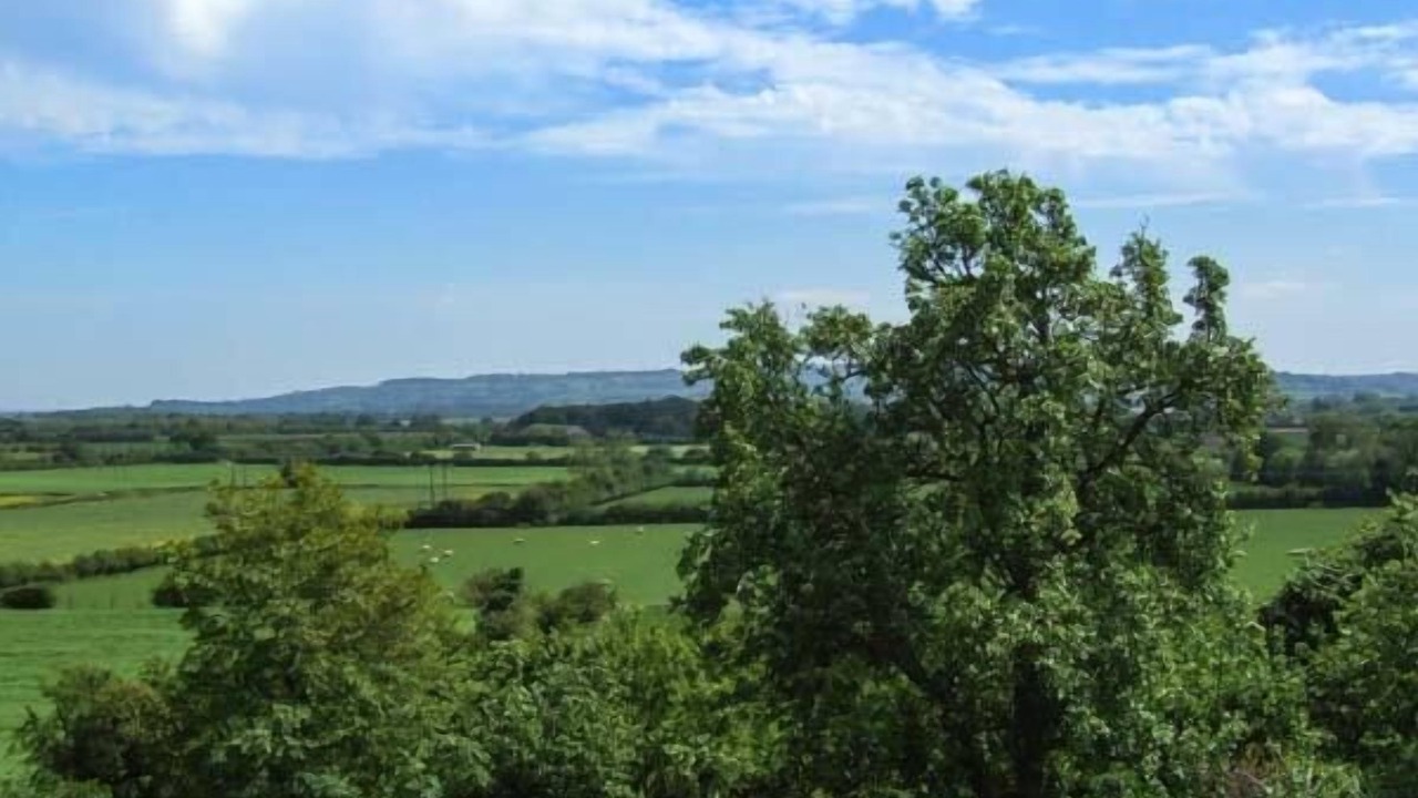 Photo of Others in Stratford-upon-Avon