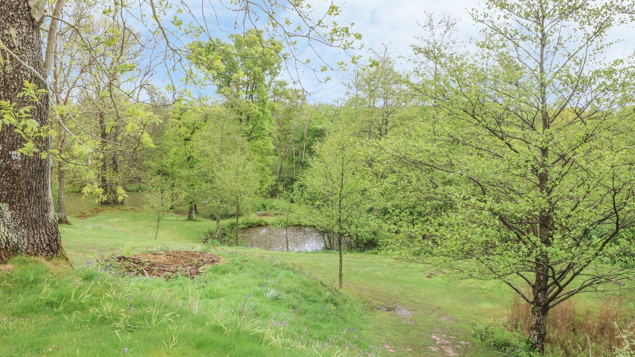 Photo of Others in Cowbeech