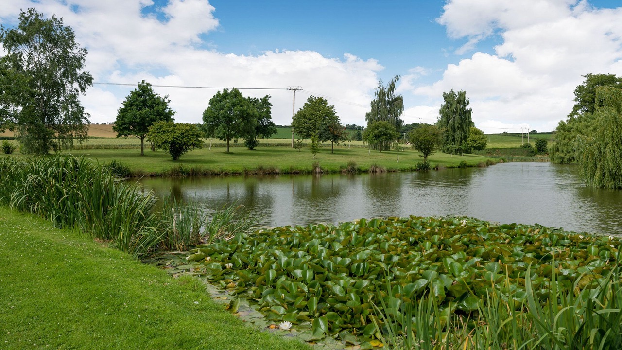 Photo of Others in Redbrook