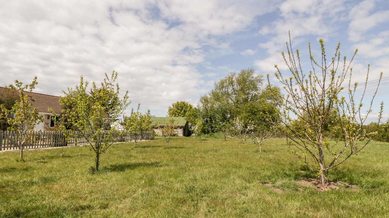 Photo of Others in East Huntspill