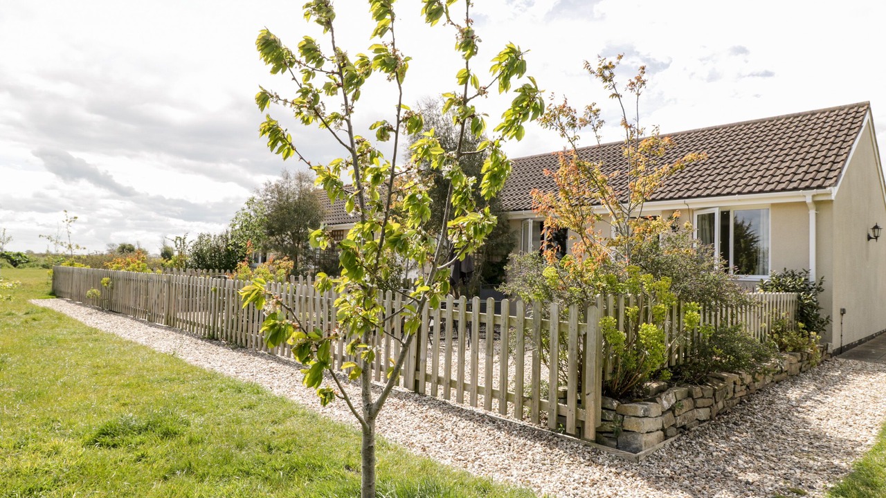 Photo of Others in East Huntspill