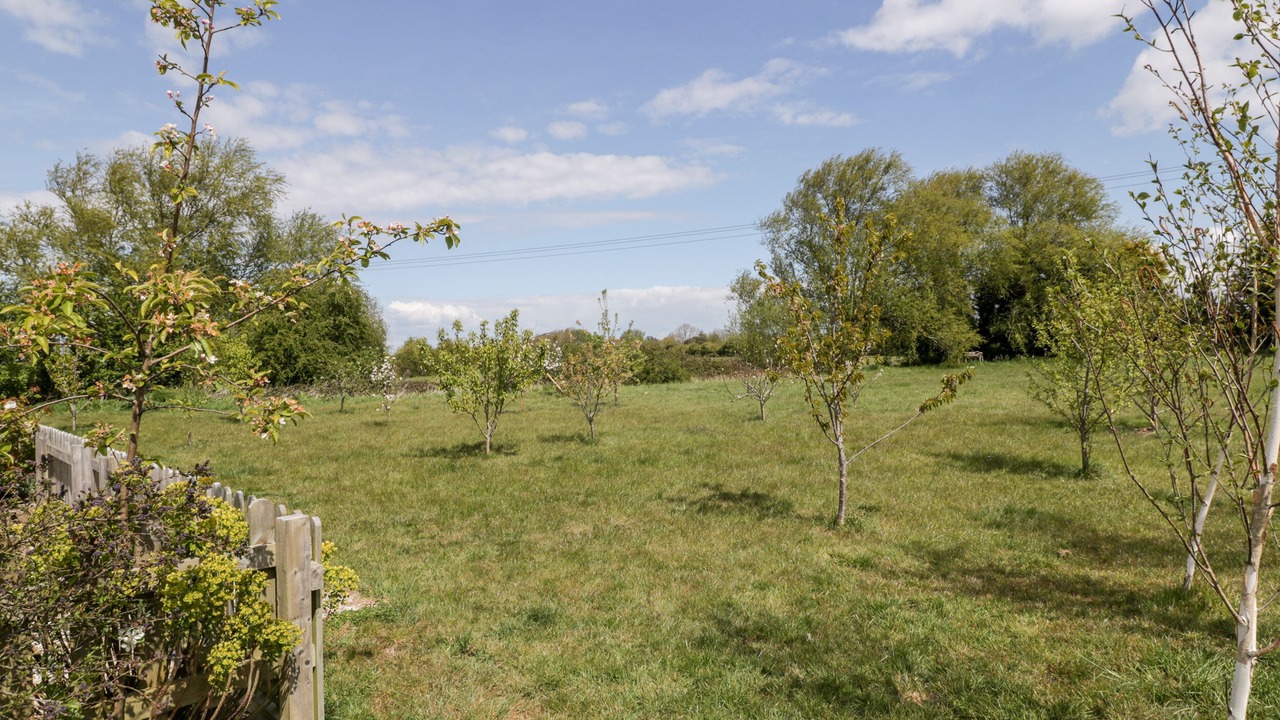 Photo of Others in East Huntspill