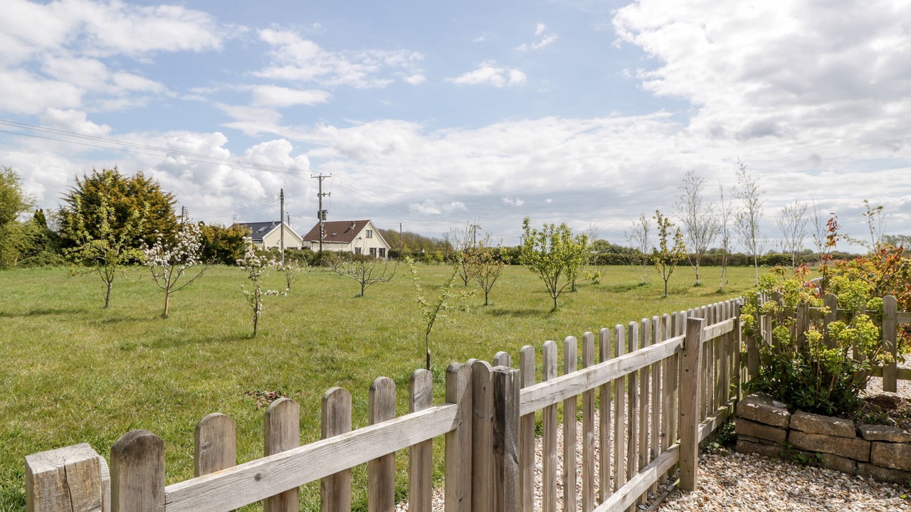 Photo of Others in East Huntspill