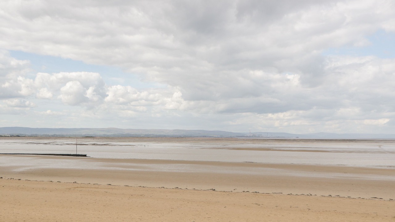 Photo of Others in East Huntspill