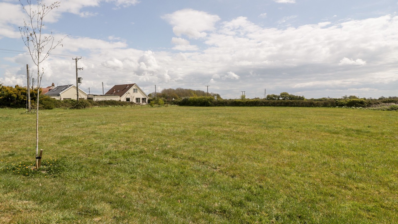 Photo of Others in East Huntspill