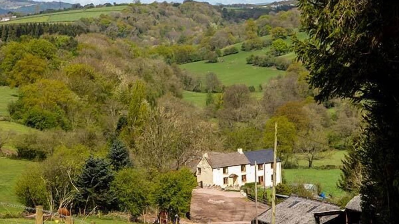 Photo of Others in Coed-Y-Paen