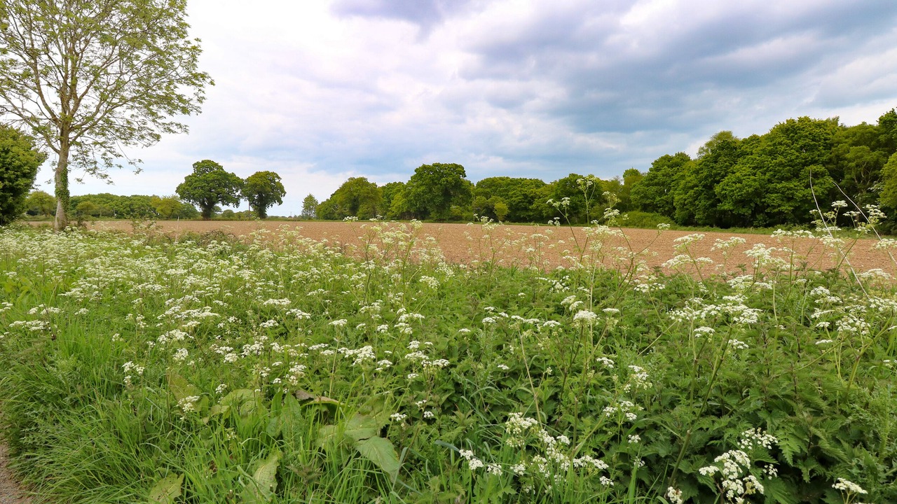 Photo of Others in North Walsham