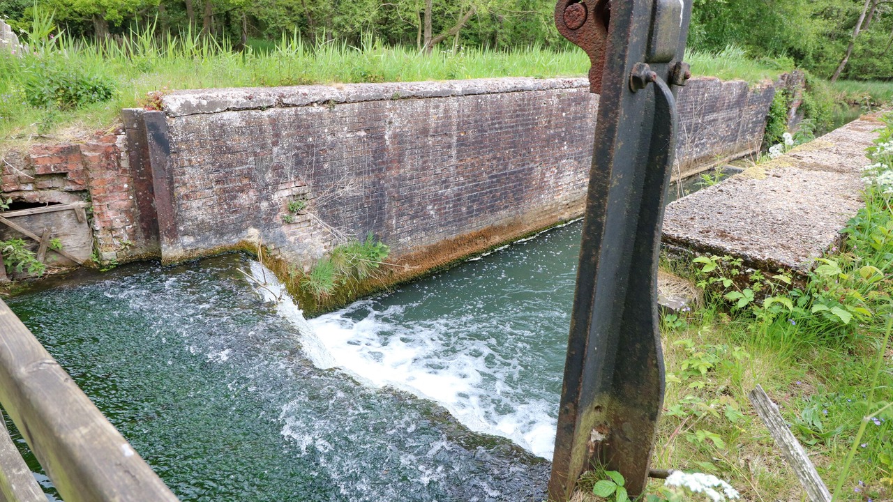 Photo of Others in North Walsham