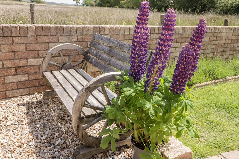 Photo of Others in Aberdare