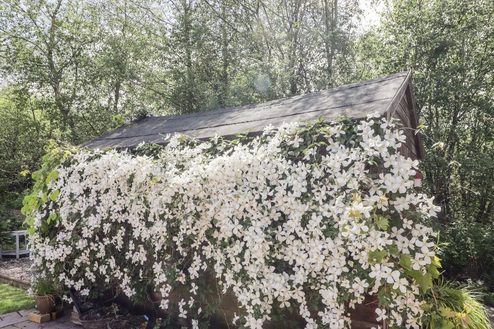 Photo of Others in Aberdare