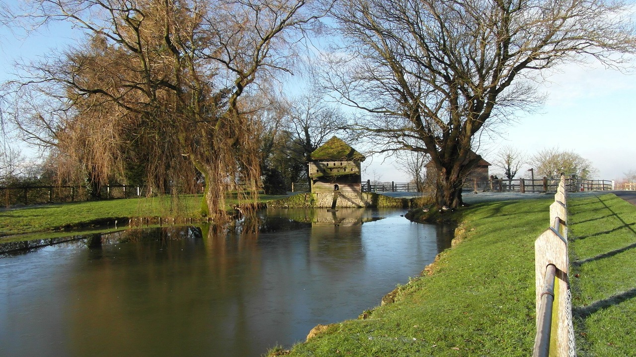 Photo of Others in Bruton