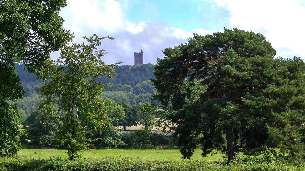 Photo of Others in Bruton