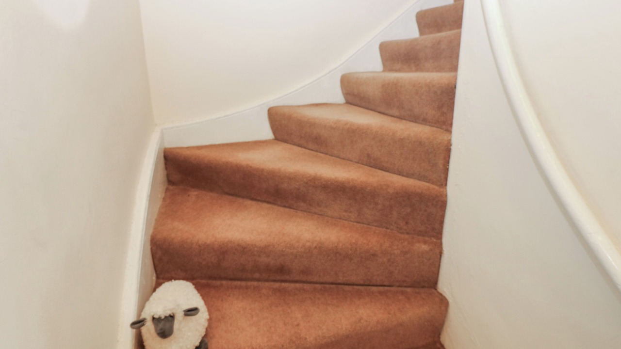 Photo of Others in Hexham