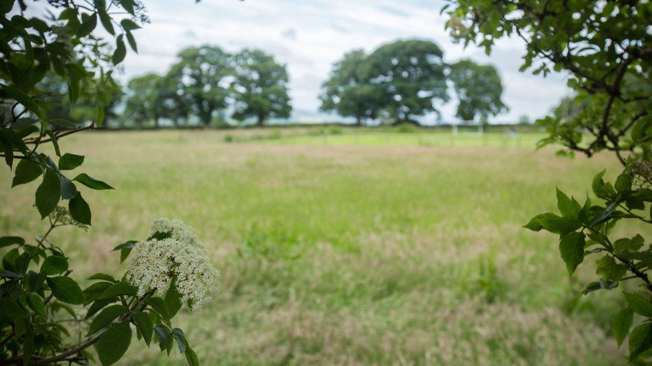 Photo of Others in Hexham