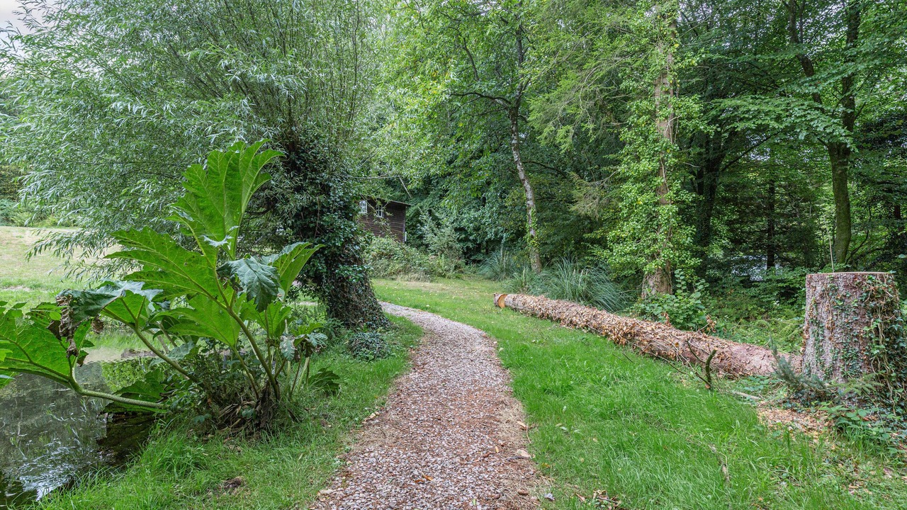 Photo of Others in Honiton