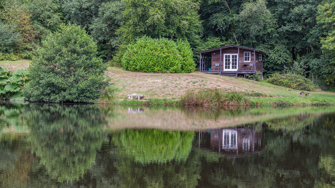 Photo of Outdoor in Honiton