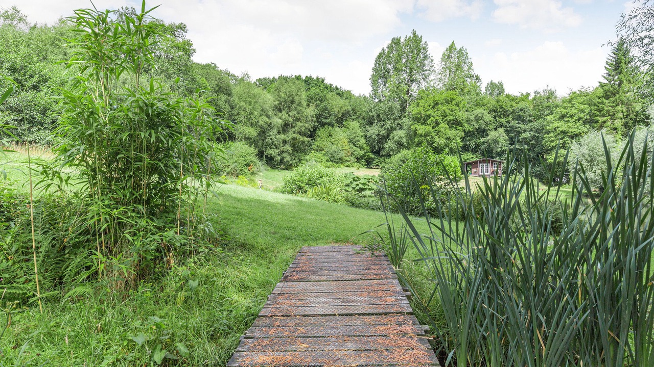 Photo of Others in Honiton