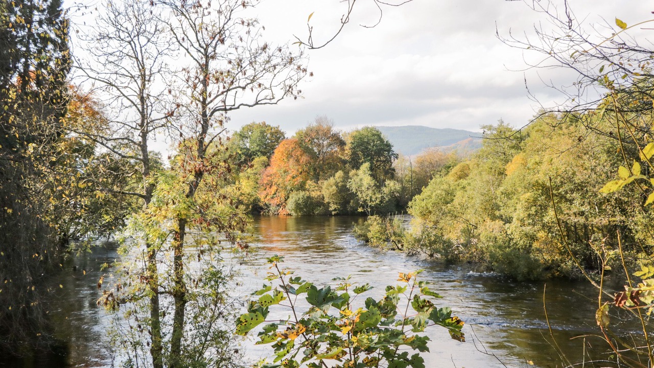 Photo of Others in Weem