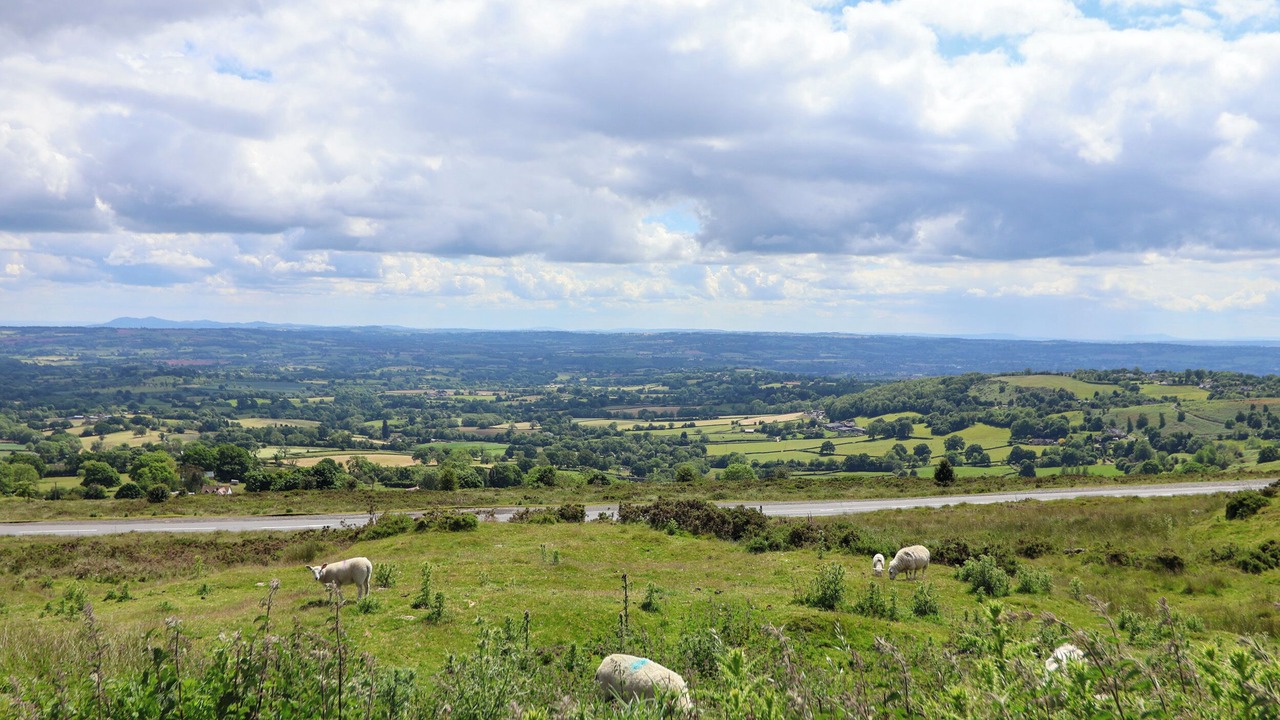 Photo of Others in Farden