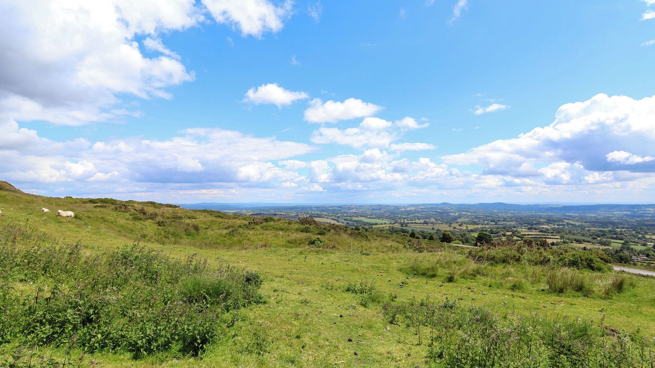 Photo of Others in Farden