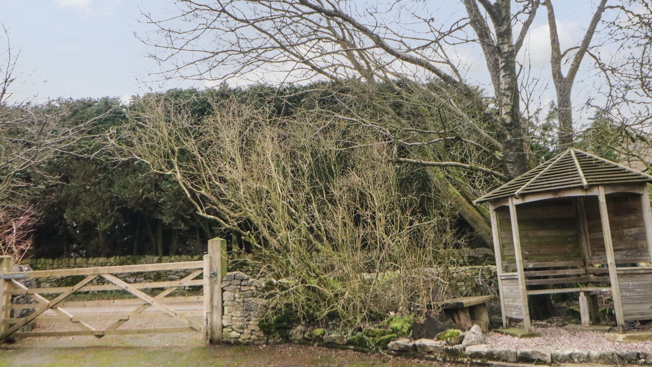 Photo of Others in Millers Dale