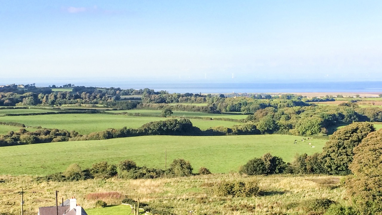 Photo of Others in Llanasa