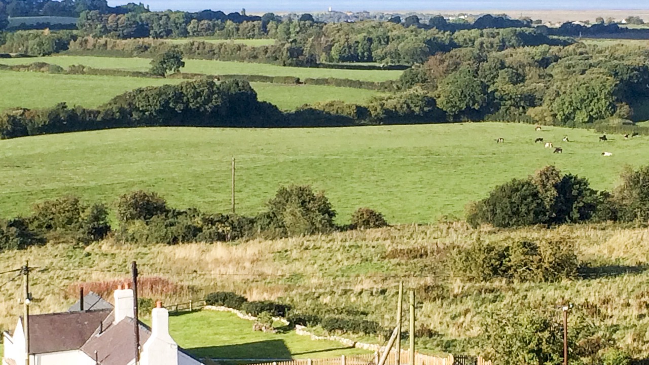 Photo of Others in Llanasa