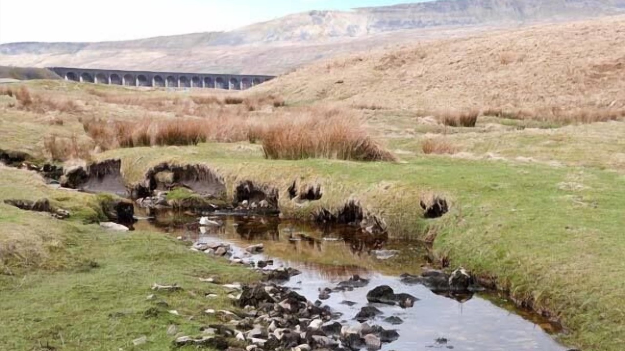 Photo of Others in Horton in Ribblesdale