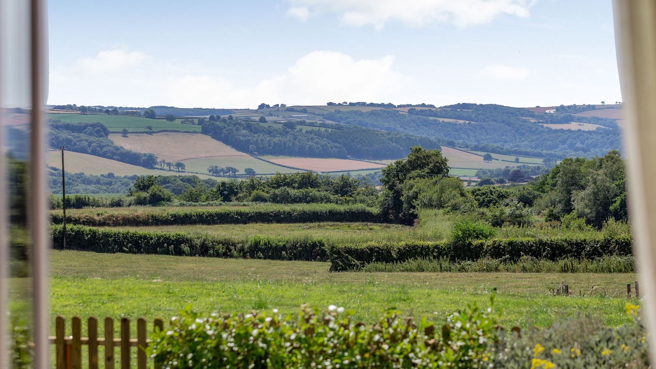 Photo of Others in South Molton