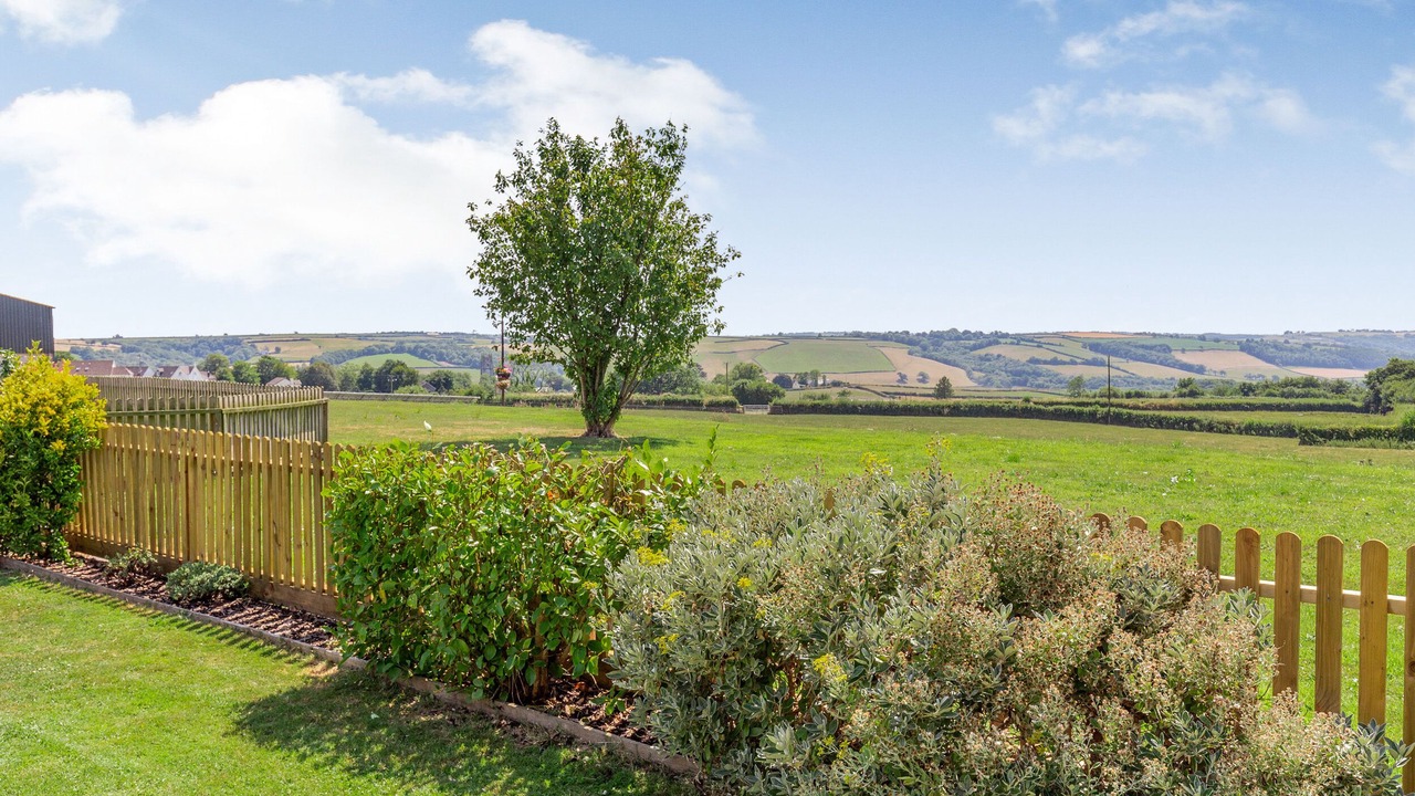 Photo of Others in South Molton