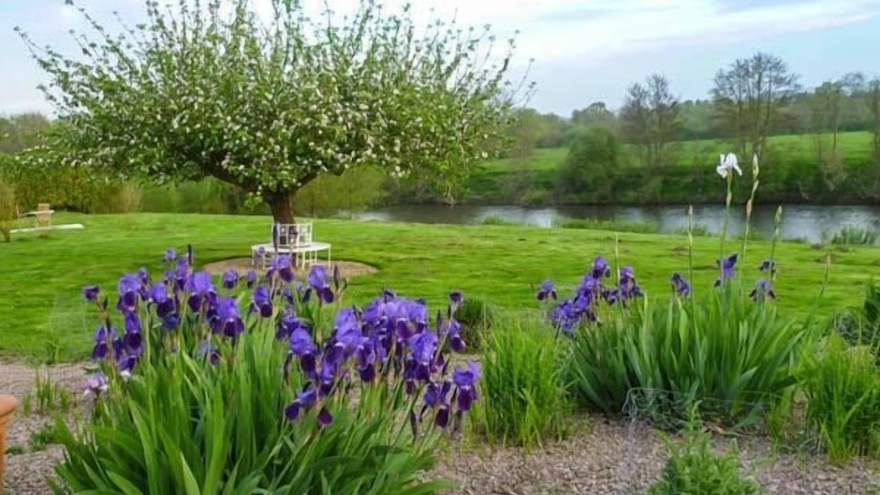 Photo of Others in Byford